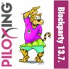 Piloxing_Blockparty.jpg